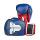 Boxerské_rukavice_Fighter_BoxMuay_Thai_tricolor