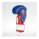 Boxerské_rukavice_Fighter_BoxMuay_Thai_tricolor