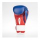 Boxerské_rukavice_Fighter_BoxMuay_Thai_tricolor