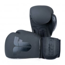Boxerské rukavice Fighter Split Stripes černá