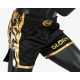 Fairtex_muay_thai_trenky_BSG1_Glory_černé