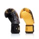 Boxerskě rukavice Fairtex BGV26 Harmony Six černá/zlatá