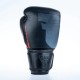 Boxerské_rukavice_Fighter_Pro_černá