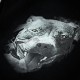 Tepláky_Pitbull_West_Coast_Dog_Head_černé_do_gumy