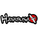 Hayabusa